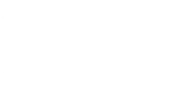 Lolo Drago